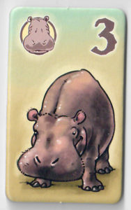 animals-on-board-hippo